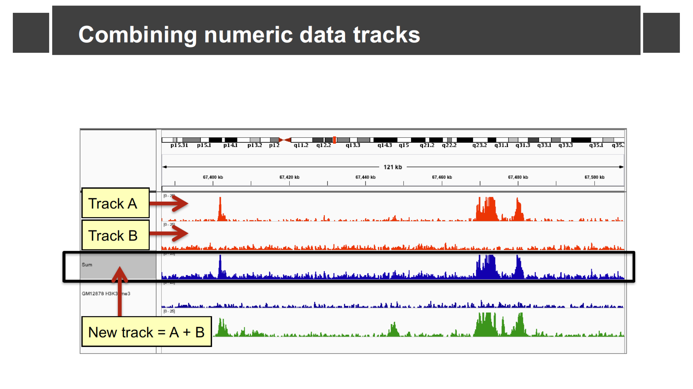 New combined track showing the sum of two ChIP-seq tracks