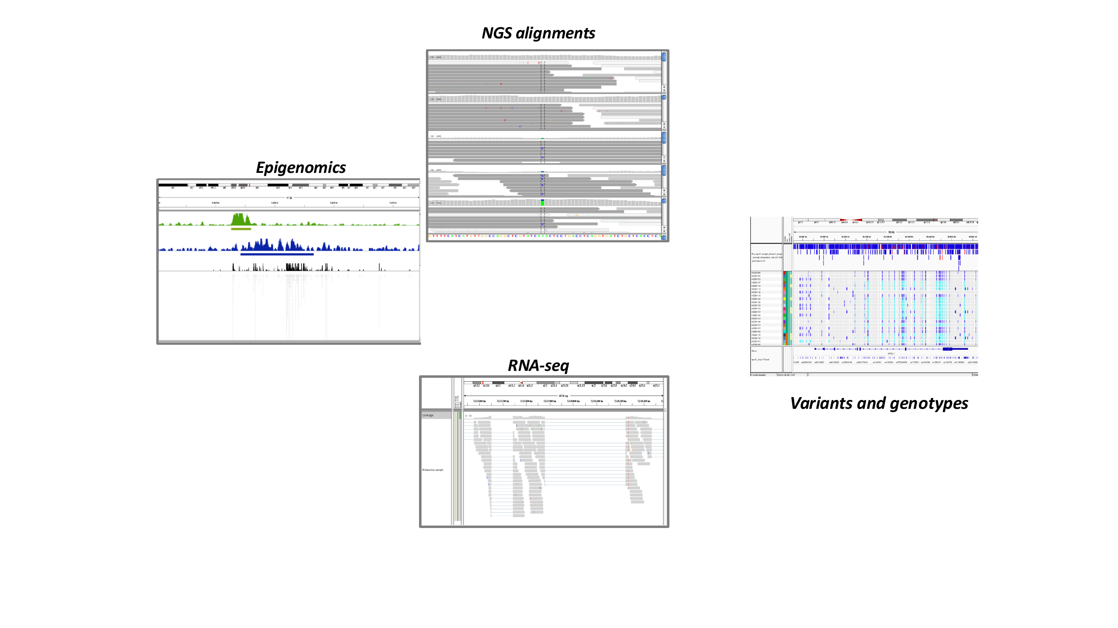 Screenshots of IGV showing epigenomics, NGS alignments, RNA-seq, and variant tracks