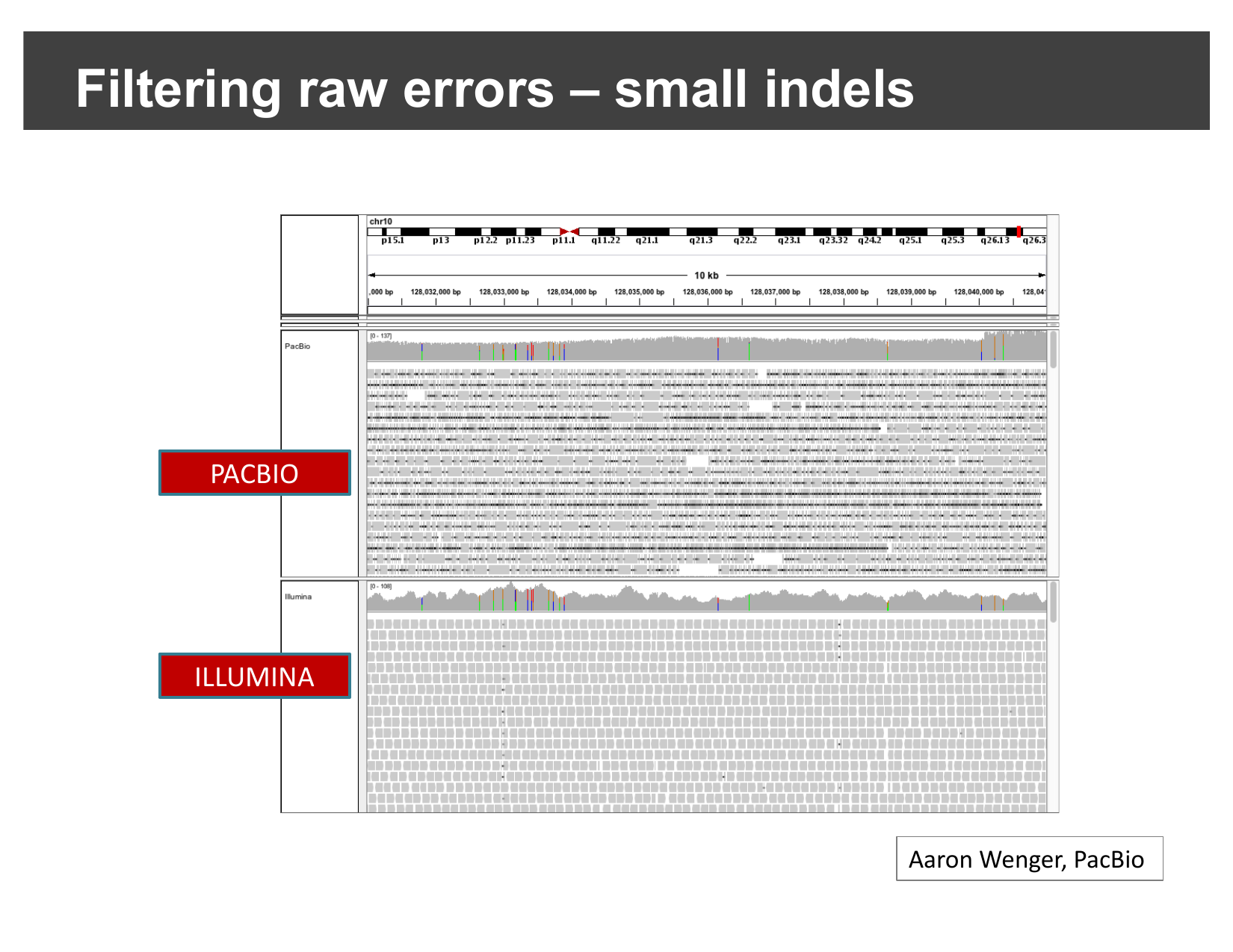 PacBio and Illumina alignments at the same locus, PacBio showing many more small mismatches/indels
