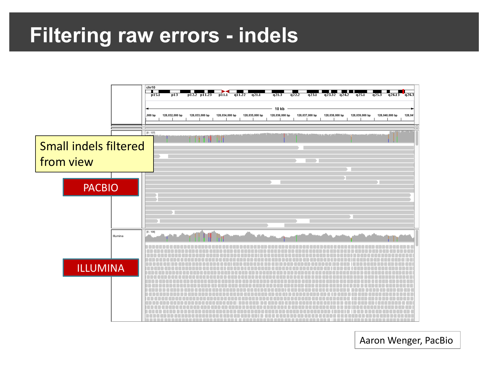 PacBio alignments with small indels filtered out, closely resembling the Illumina track