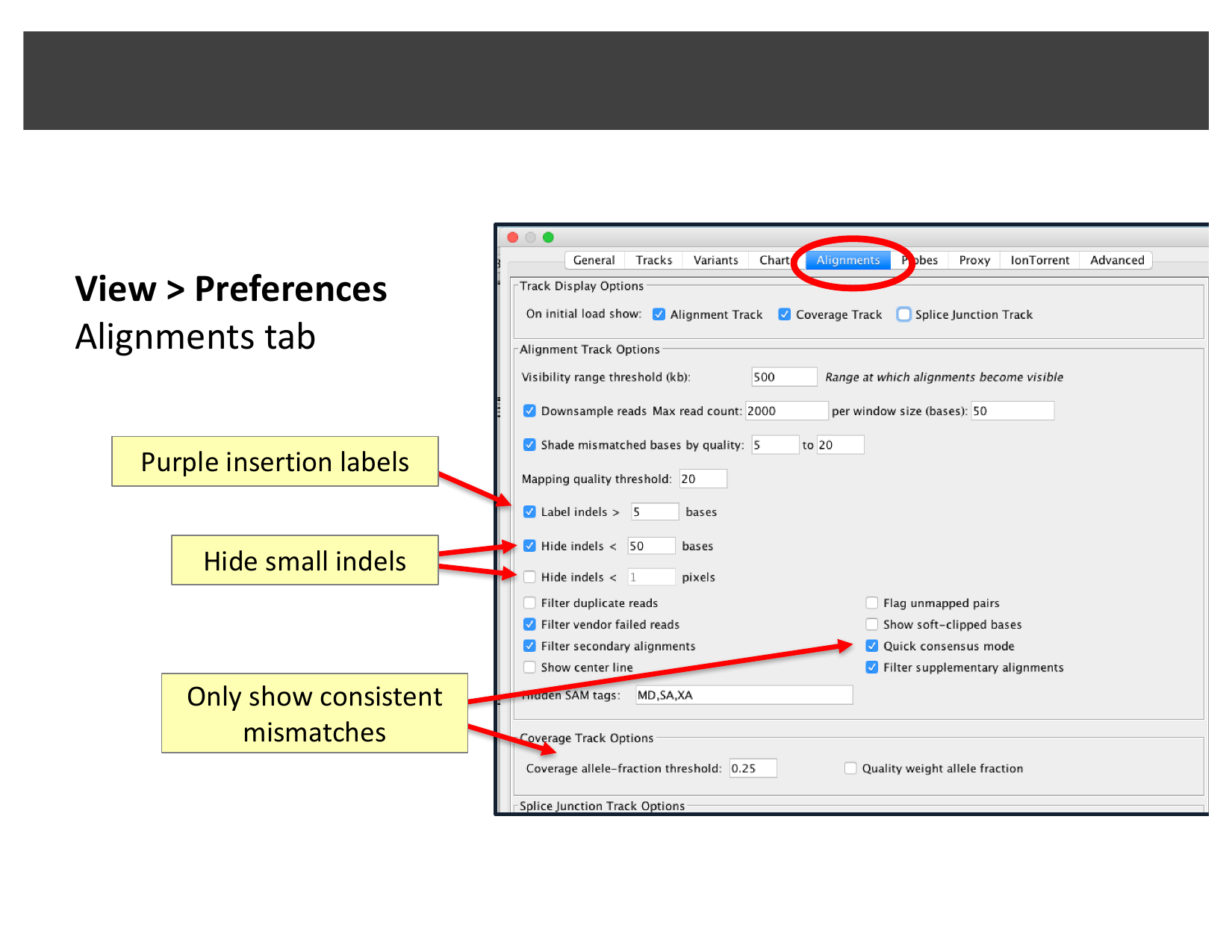 IGV Preferences dialog, Alignments tab, with indel and quick-consensus-mode options highlighted