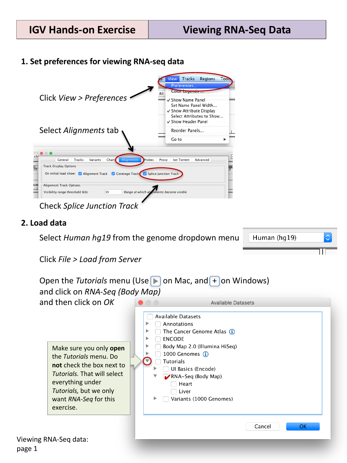 IGV Preferences dialog and Load from Server dialog for RNA-seq data