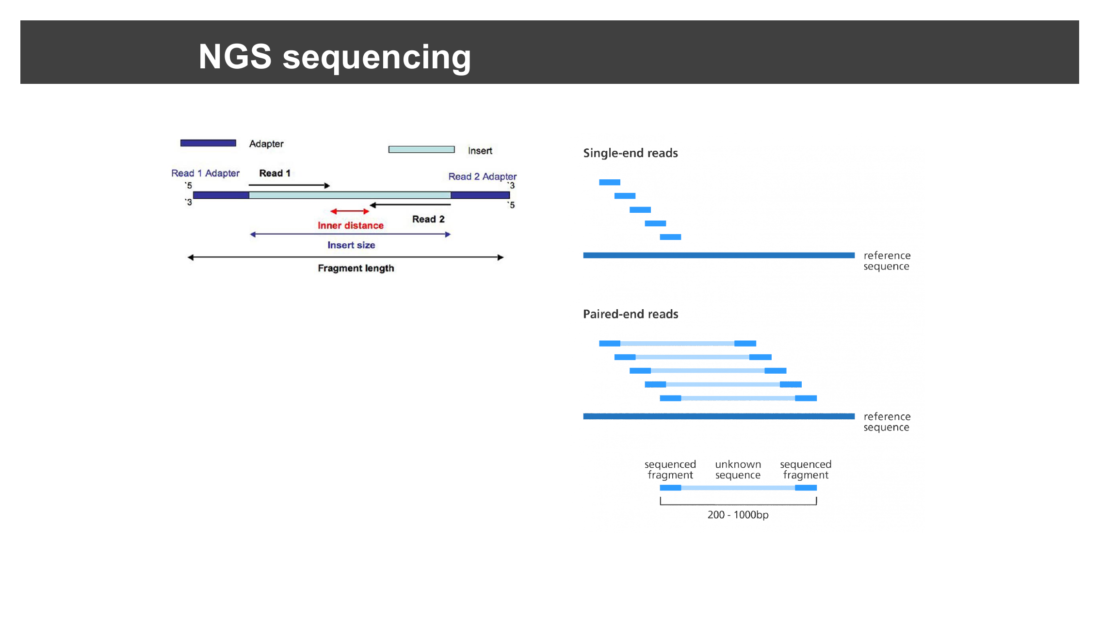 Diagram of single-end and paired-end sequencing reads aligned to a reference sequence