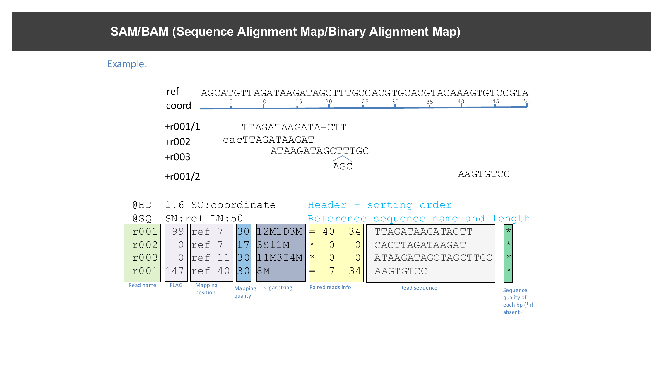 Annotated example of SAM format fields