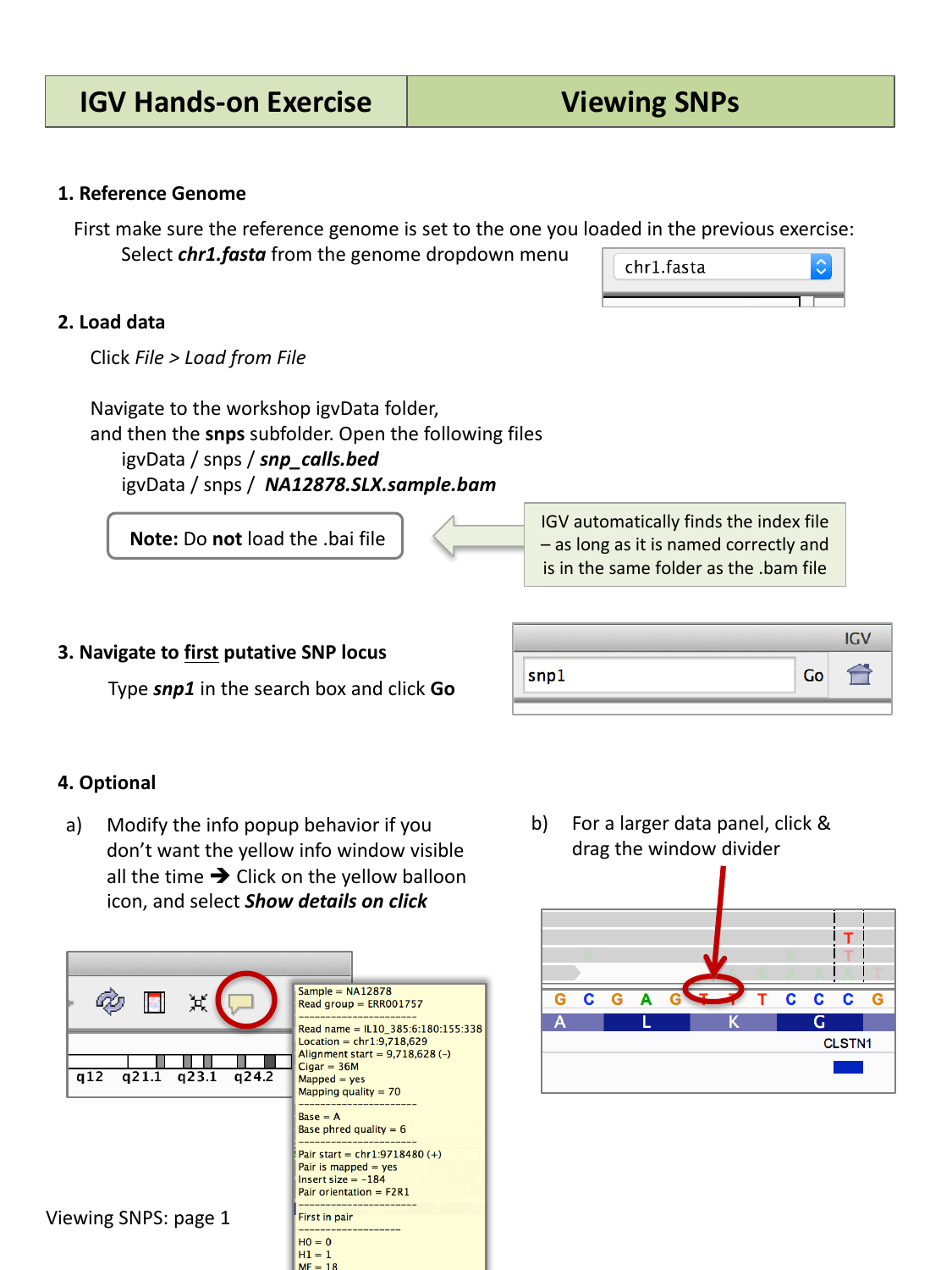 IGV showing the loaded alignment track and search box with snp1