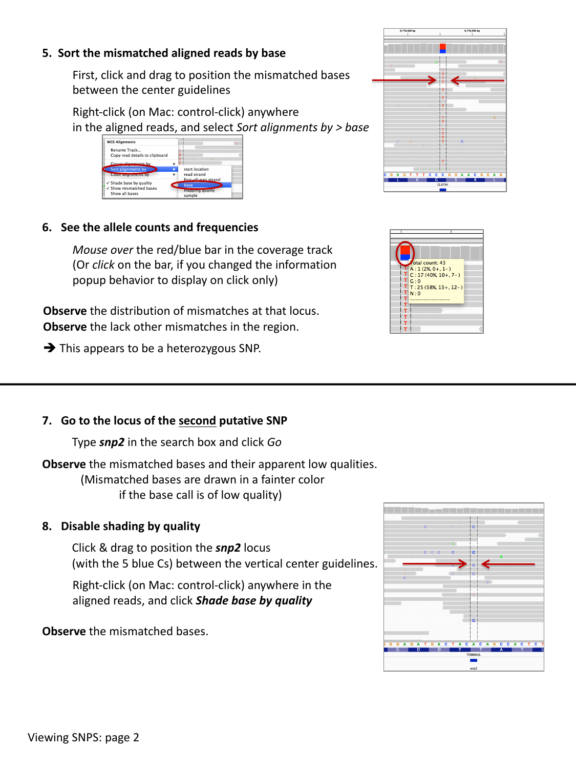 Sorted alignments and allele count popup