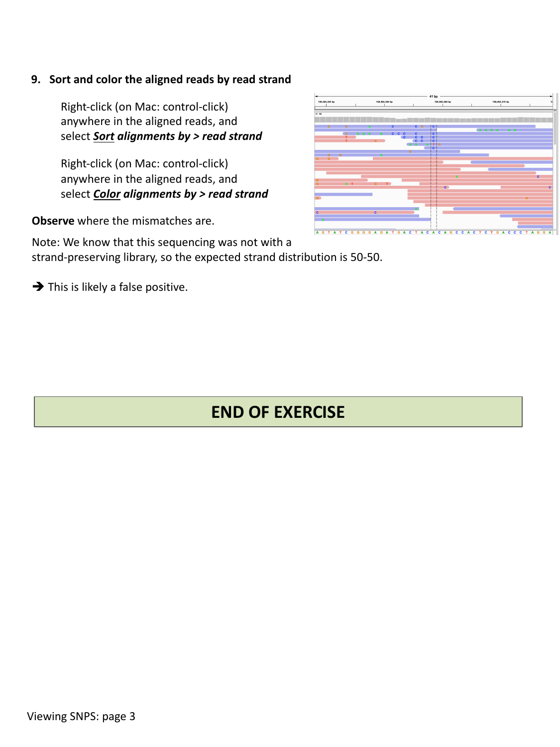 Alignments colored and sorted by read strand