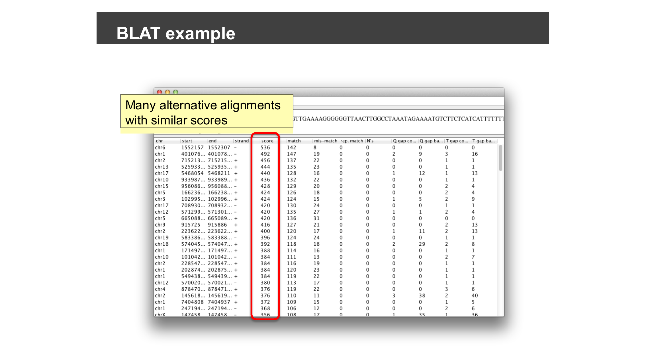 BLAT results table showing many alternative alignments with similar scores