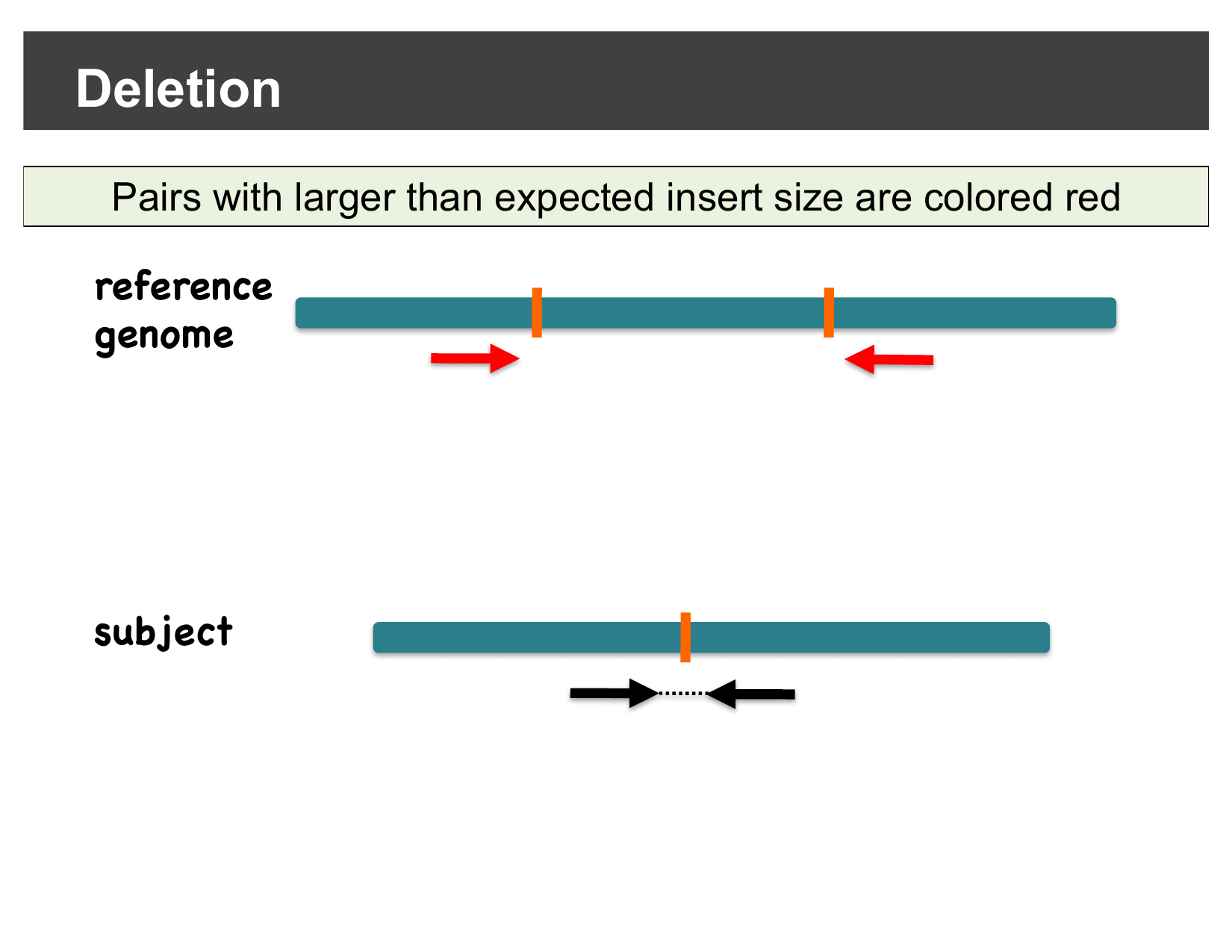 Diagram showing read pairs colored red when their inferred insert size exceeds the expected value