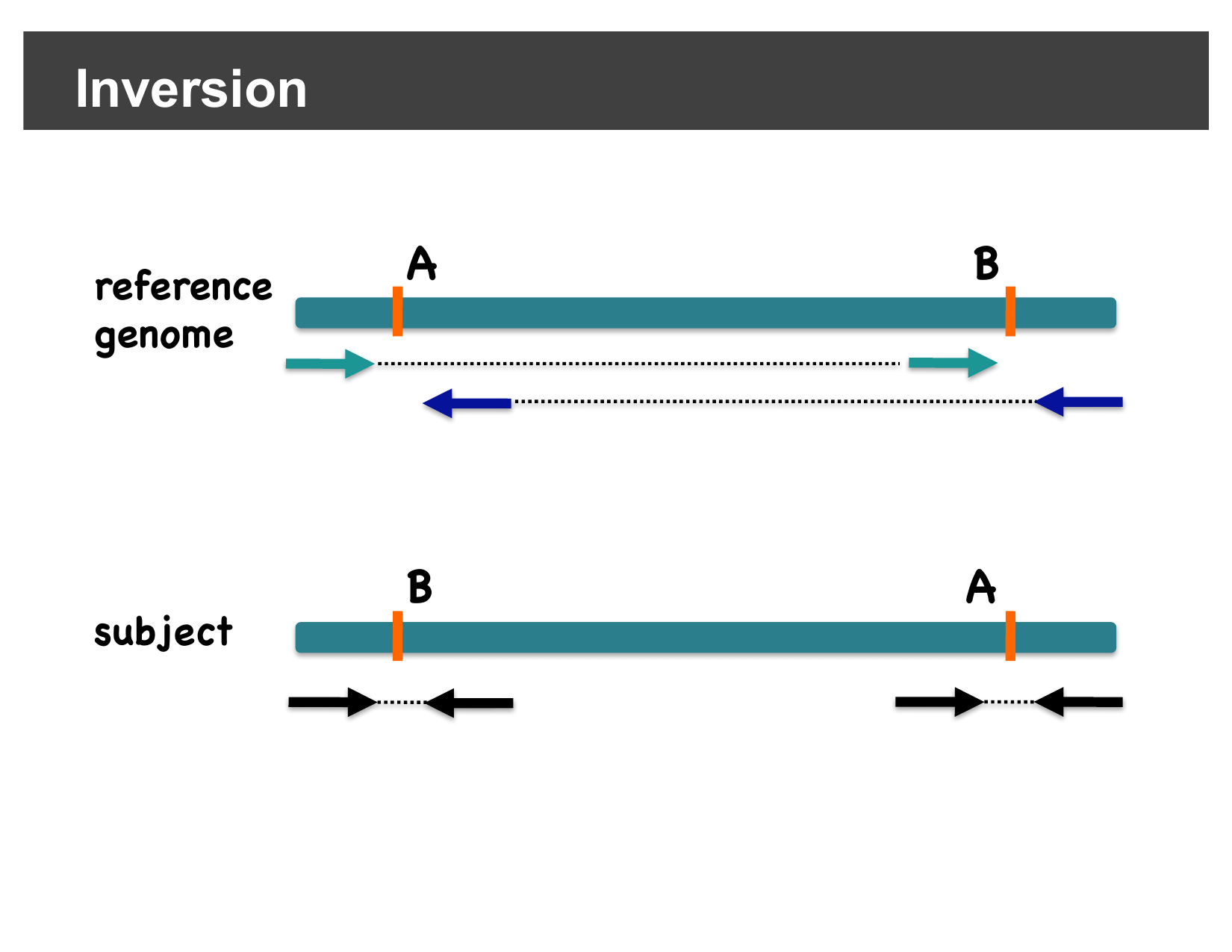 Diagram showing forward-forward and reverse-reverse discordant pair orientations at the two breakpoints of an inversion