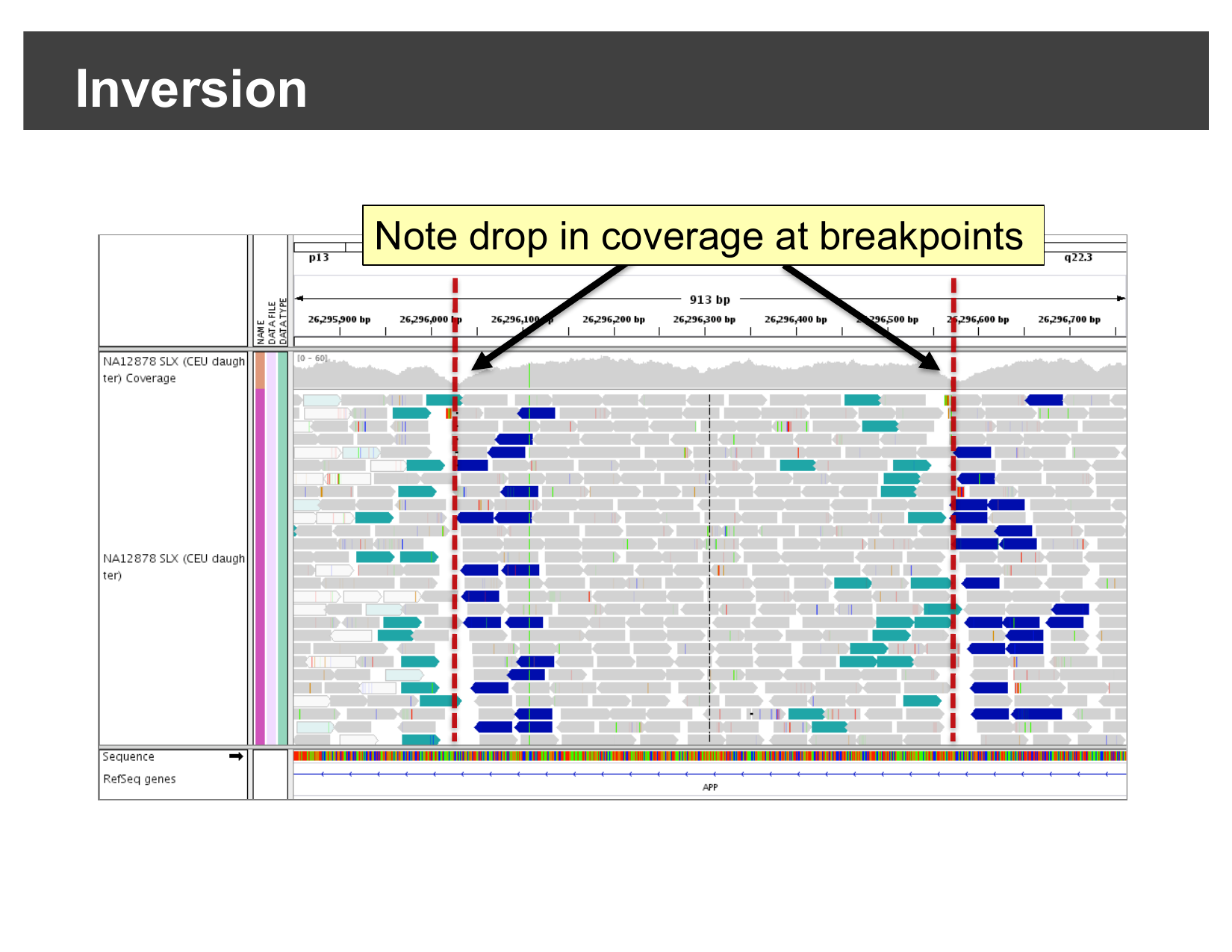 IGV view of an inversion at the APP gene showing discordant read orientation and coverage drops at both breakpoints