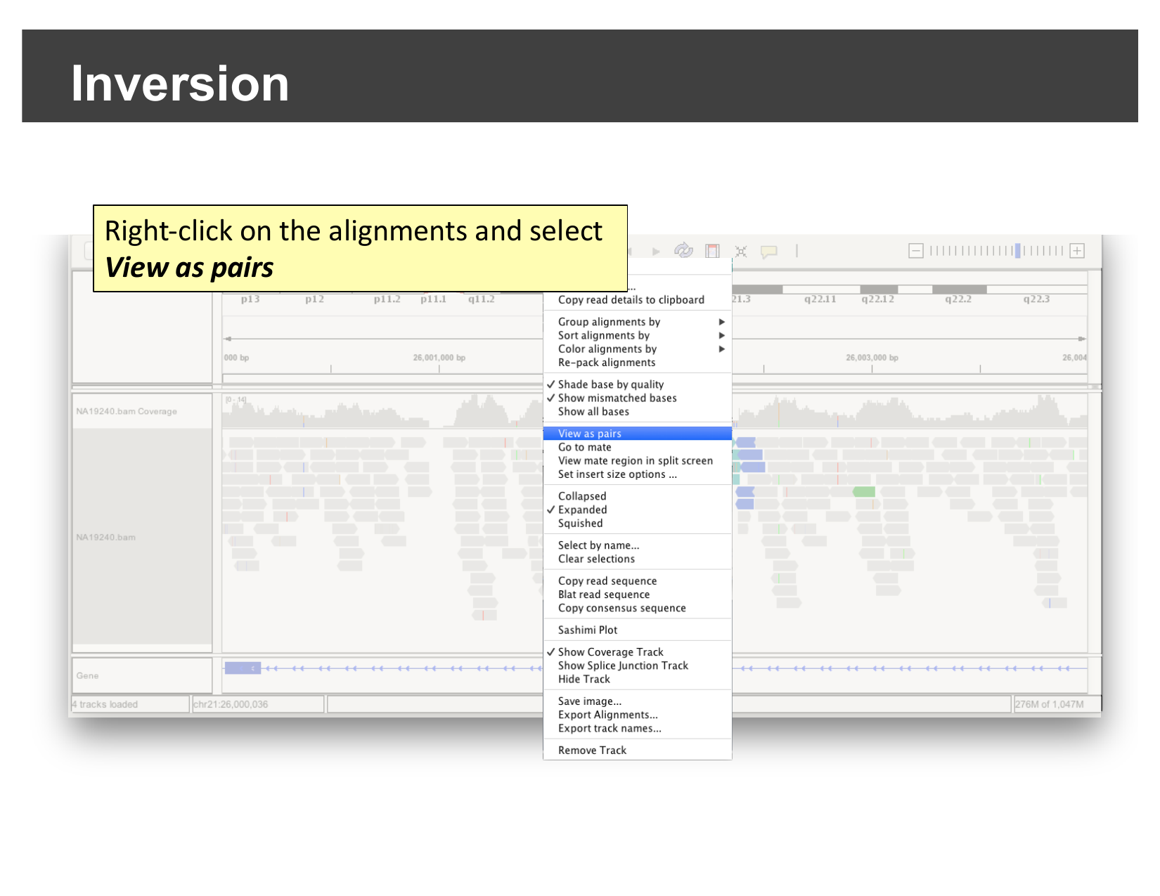 Right-click context menu with View as pairs highlighted