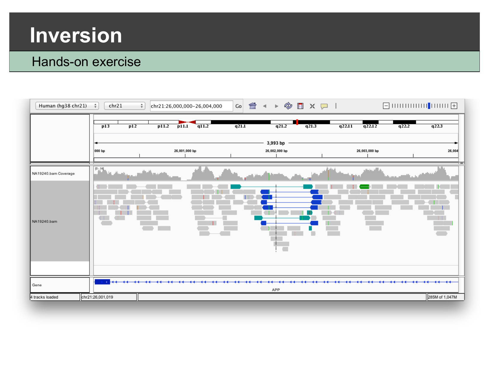 IGV view of NA19240.bam at the APP locus after enabling View as pairs, showing a cluster of discordant reads