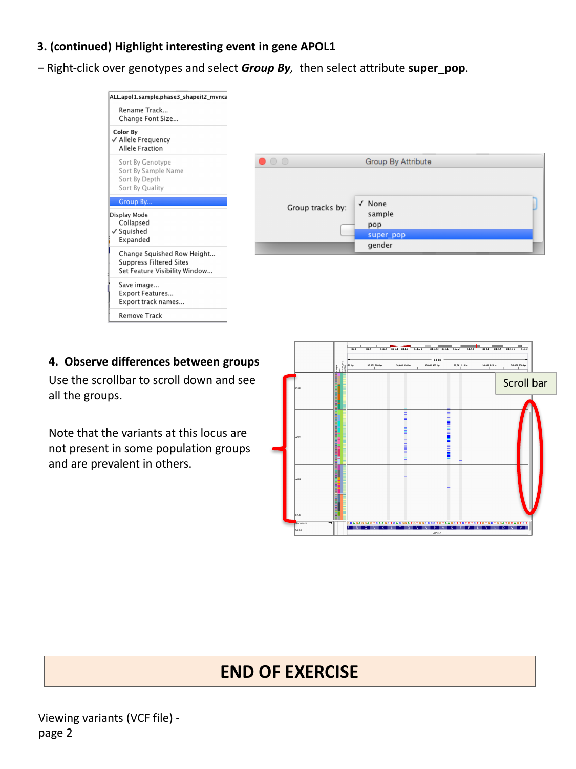 Group By dialog and genotypes grouped by super population